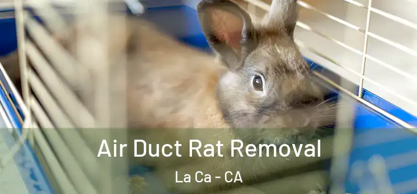  Air Duct Rat Removal La Ca - CA