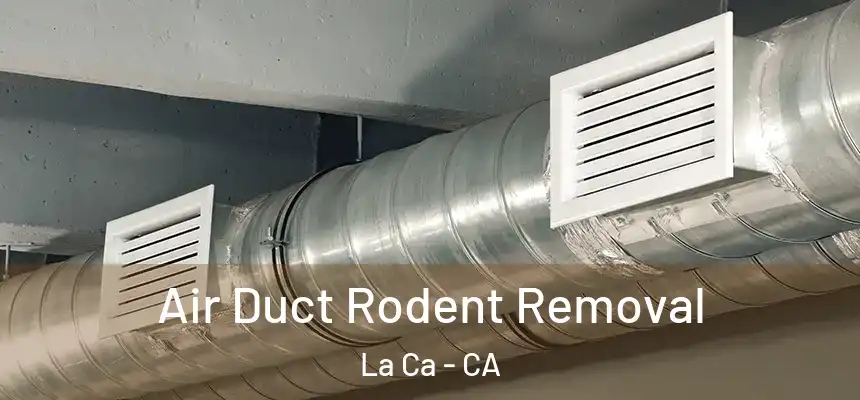  Air Duct Rodent Removal La Ca - CA