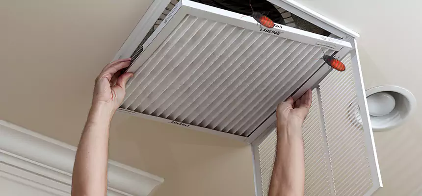 Preventive Cockroach-Proofing for Ducts in La Ca