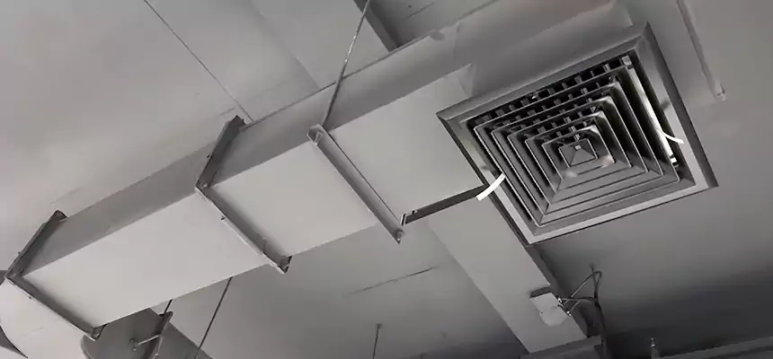 Restorative Allergy Relief Vent Cleaning – Coil, Blower & Housing Detail in La Ca