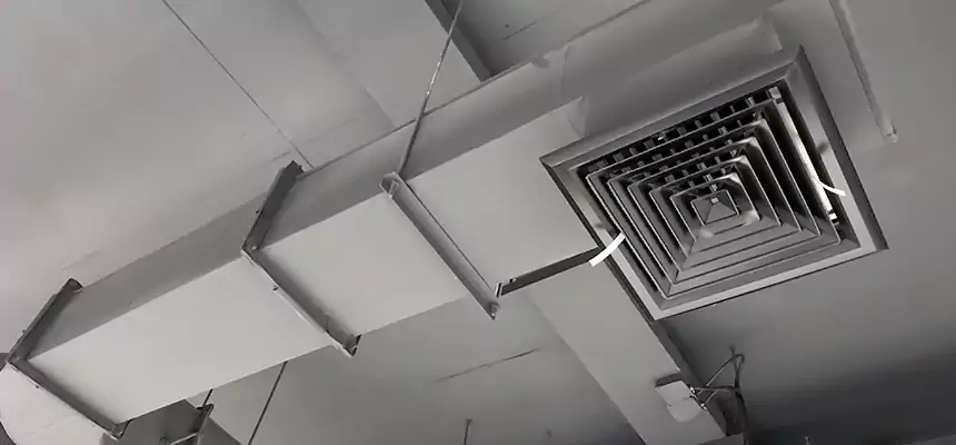 Our Pest Removal From Ducts Services in La Ca, CA