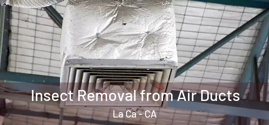 Insect Removal from Air Ducts La Ca - CA
