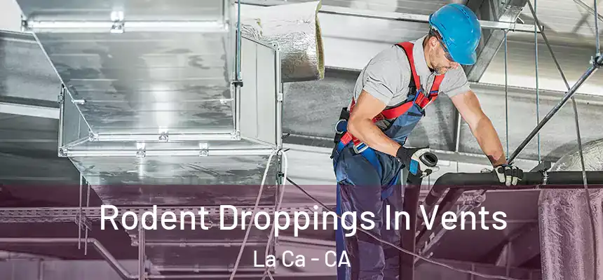  Rodent Droppings In Vents La Ca - CA