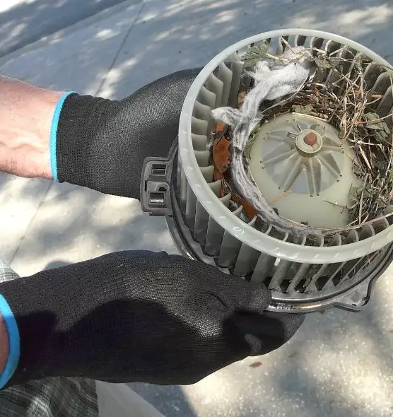 About Air Duct Rat Removal in La Ca, CA