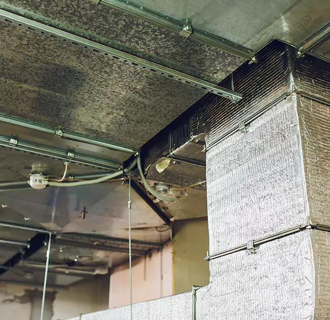 Why Homeowners & Businesses Trust Us in La Ca, CA?